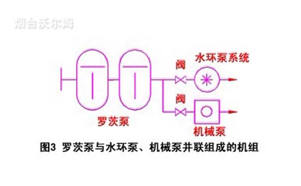 羅茨泵與水環泵、機械泵并聯組成的機組